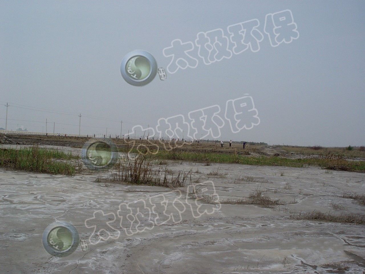 1466648659262020.jpg 1466648659262020.jpg